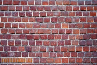 Fotopozadí