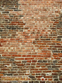 Fotopozadí