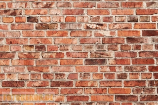 Fotopozadí