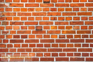 Fotopozadí 