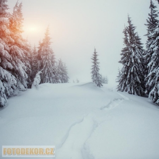 Spojená fotopozadí