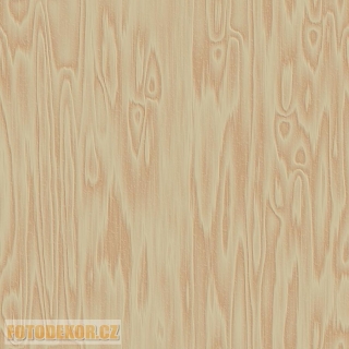 Fotopozadí