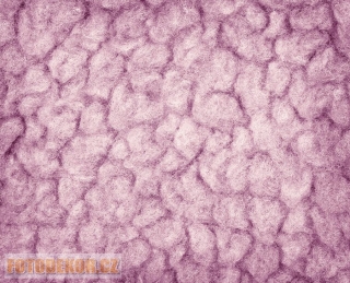 Fotopozadí